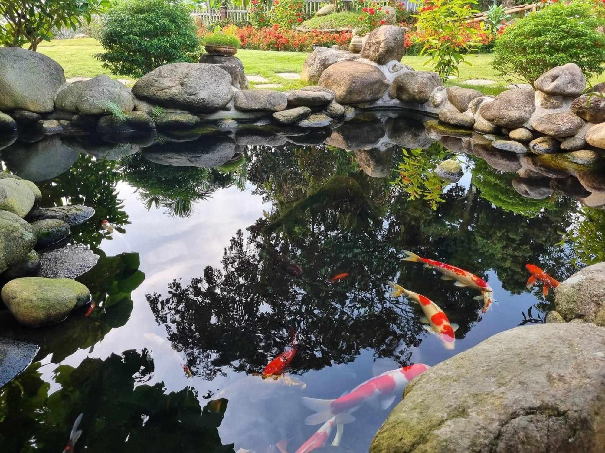 Truong Anh Homestay 하 기앙 외부 사진